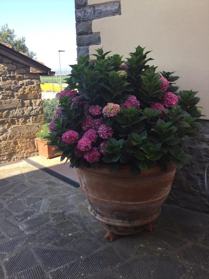 Agriturismo Borgo Tra Gli Olivi Castiglion Fiorentino Ngoại thất bức ảnh