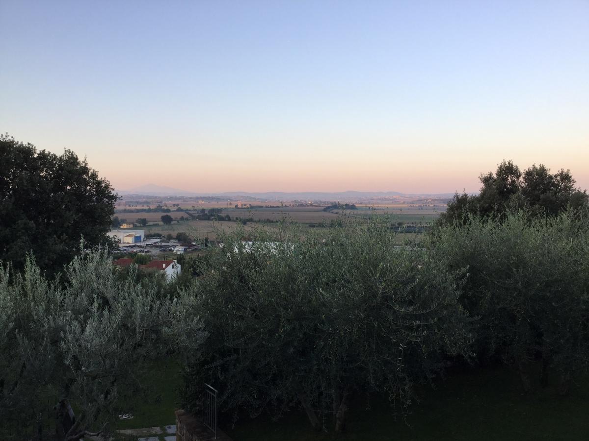 Agriturismo Borgo Tra Gli Olivi Castiglion Fiorentino Ngoại thất bức ảnh