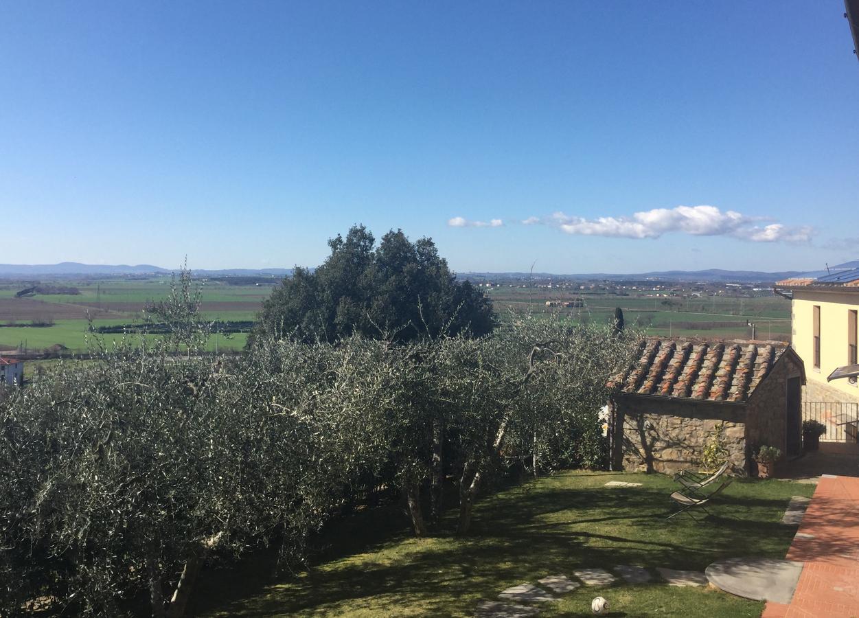 Agriturismo Borgo Tra Gli Olivi Castiglion Fiorentino Ngoại thất bức ảnh