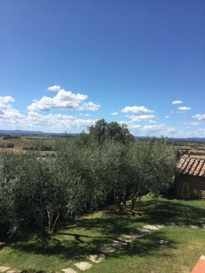 Agriturismo Borgo Tra Gli Olivi Castiglion Fiorentino Ngoại thất bức ảnh